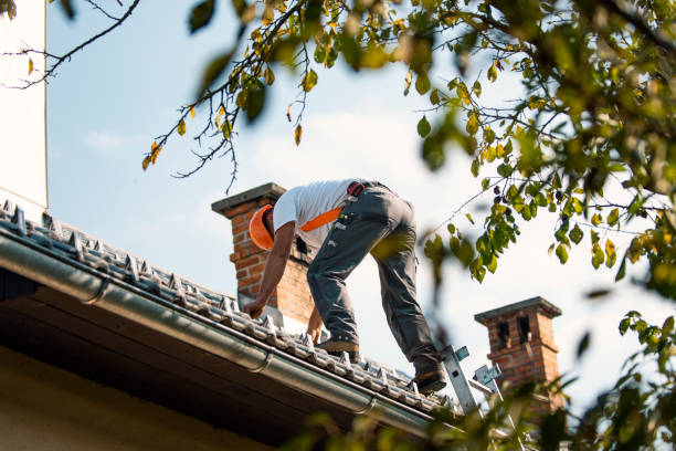 Best Gutter Installation and Roofing  in North El Monte, CA
